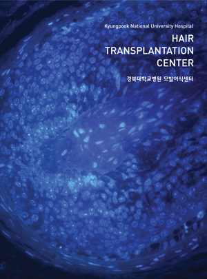 경북대학교병원 브로슈어 표지이미지
